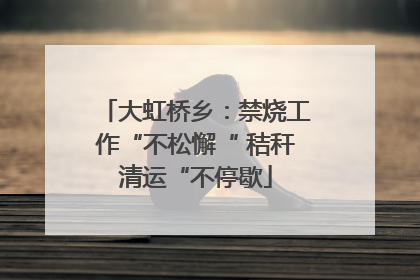 大虹桥乡：禁烧工作“不松懈“ 秸秆清运“不停歇