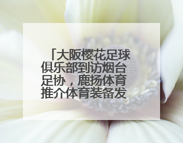 大阪樱花足球俱乐部到访烟台足协，鹿扬体育推介体育装备发展情况