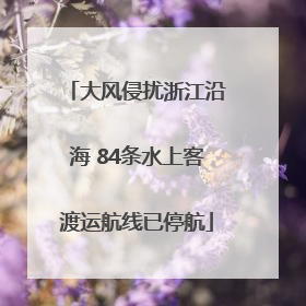 大风侵扰浙江沿海 84条水上客渡运航线已停航