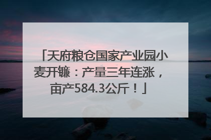 天府粮仓国家产业园小麦开镰：产量三年连涨，亩产584.3公斤！
