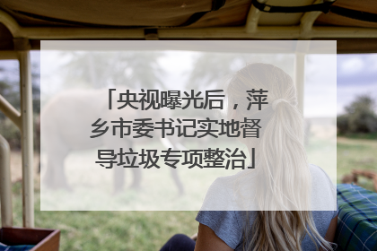 央视曝光后，萍乡市委书记实地督导垃圾专项整治