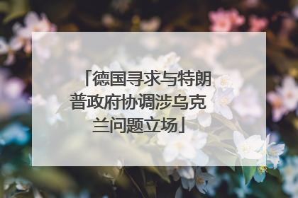 德国寻求与特朗普政府协调涉乌克兰问题立场