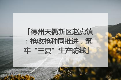 德州天衢新区赵虎镇：抢收抢种同推进，筑牢“三夏”生产防线