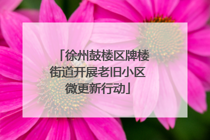 徐州鼓楼区牌楼街道开展老旧小区微更新行动
