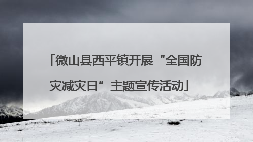 微山县西平镇开展“全国防灾减灾日”主题宣传活动