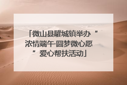 微山县驩城镇举办“浓情端午·圆梦微心愿”爱心帮扶活动