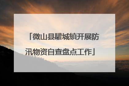 微山县驩城镇开展防汛物资自查盘点工作