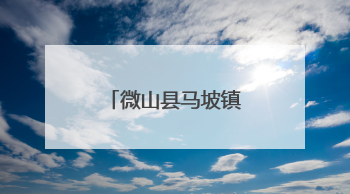 微山县马坡镇开展托育服务集中宣传活动