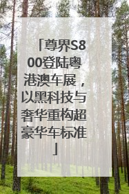 尊界S800登陆粤港澳车展，以黑科技与奢华重构超豪华车标准