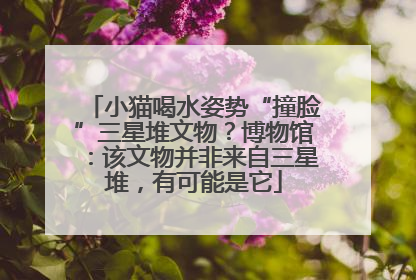 小猫喝水姿势“撞脸”三星堆文物？博物馆：该文物并非来自三星堆，有可能是它