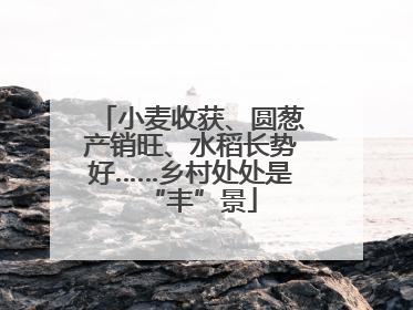小麦收获、圆葱产销旺、水稻长势好……乡村处处是“丰”景