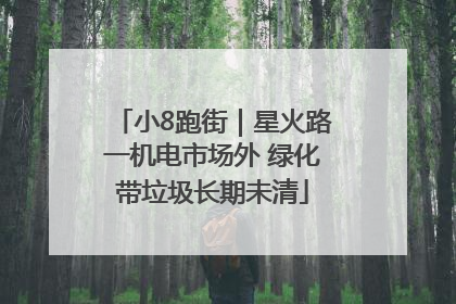 小8跑街｜星火路一机电市场外 绿化带垃圾长期未清