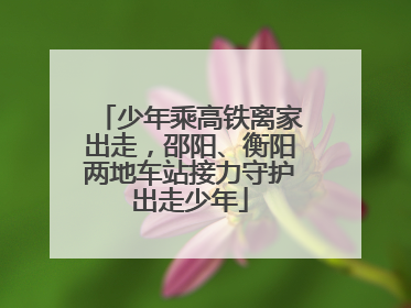 少年乘高铁离家出走，邵阳、衡阳两地车站接力守护出走少年