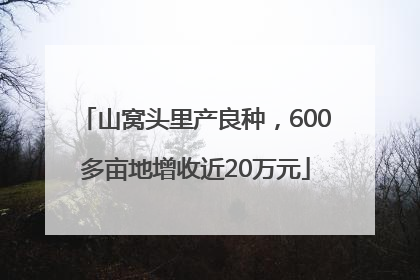 山窝头里产良种，600多亩地增收近20万元