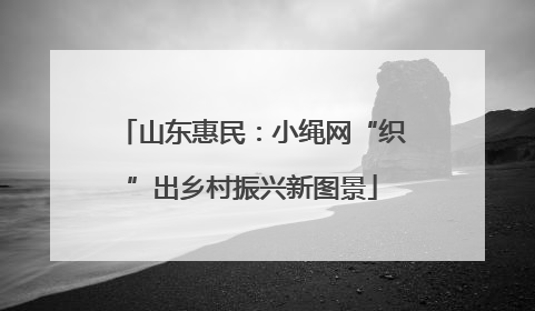 山东惠民：小绳网“织”出乡村振兴新图景