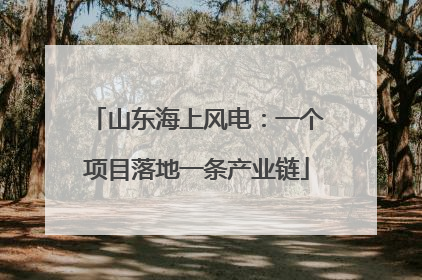 山东海上风电：一个项目落地一条产业链