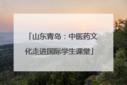 山东青岛：中医药文化走进国际学生课堂