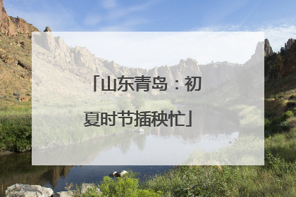 山东青岛：初夏时节插秧忙