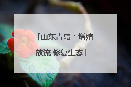 山东青岛：增殖放流 修复生态
