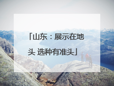 山东：展示在地头 选种有准头