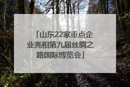 山东22家重点企业亮相第九届丝绸之路国际博览会
