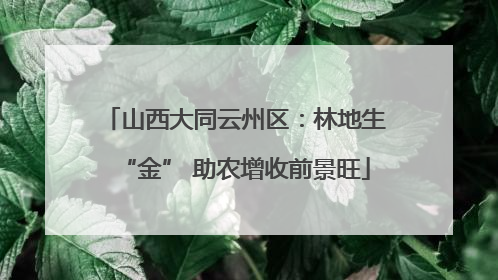 山西大同云州区：林地生“金” 助农增收前景旺