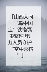 山西大同：“鸟中国宝”铁塔筑巢繁殖 电力人员守护“空中来客”