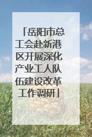 岳阳市总工会赴新港区开展深化产业工人队伍建设改革工作调研