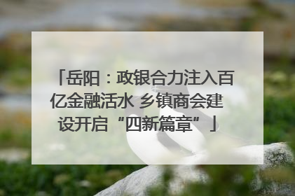 岳阳：政银合力注入百亿金融活水 乡镇商会建设开启“四新篇章”