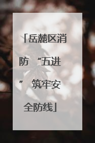 岳麓区消防 “五进” 筑牢安全防线