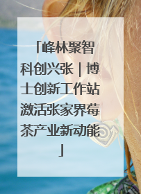 峰林聚智 科创兴张｜博士创新工作站激活张家界莓茶产业新动能