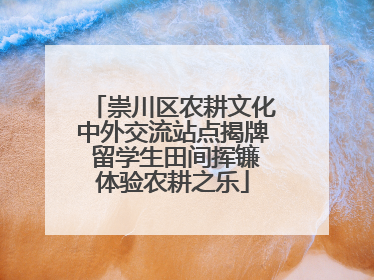 崇川区农耕文化中外交流站点揭牌 留学生田间挥镰体验农耕之乐