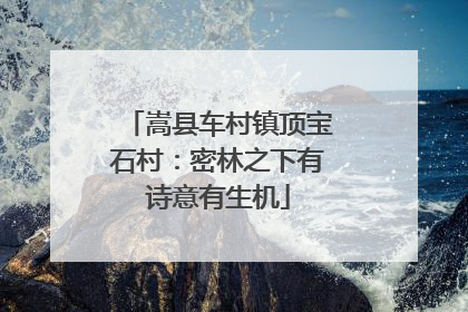 嵩县车村镇顶宝石村：密林之下有诗意有生机