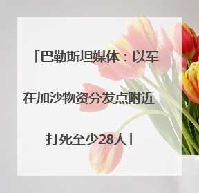 巴勒斯坦媒体：以军在加沙物资分发点附近打死至少28人