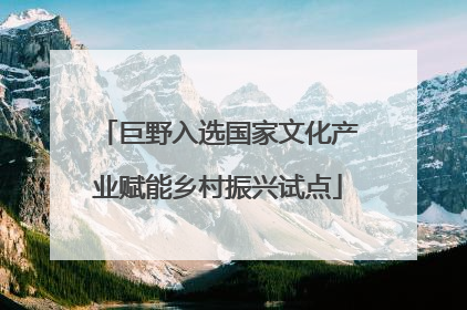 巨野入选国家文化产业赋能乡村振兴试点