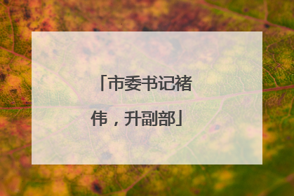 市委书记褚伟，升副部