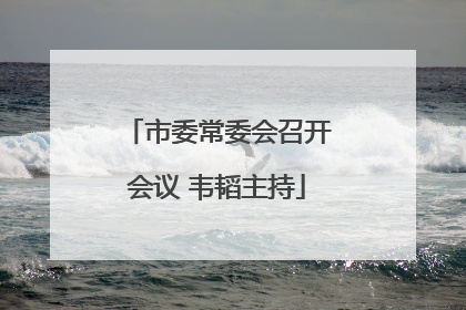 市委常委会召开会议 韦韬主持