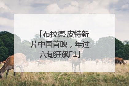 布拉德·皮特新片中国首映，年过六旬狂飙F1