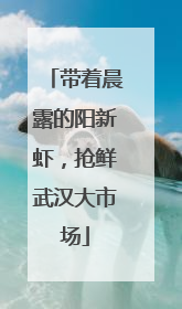 带着晨露的阳新虾，抢鲜武汉大市场