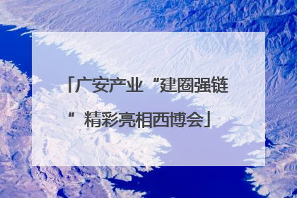 广安产业“建圈强链”精彩亮相西博会