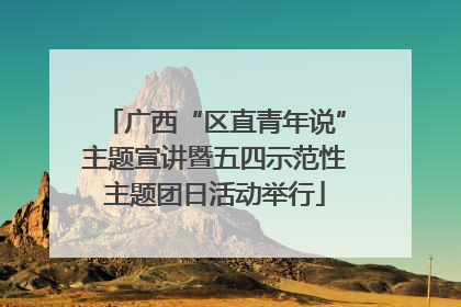 广西“区直青年说”主题宣讲暨五四示范性主题团日活动举行