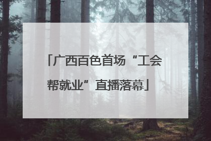 广西百色首场“工会帮就业”直播落幕