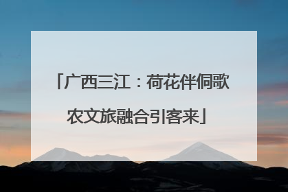 广西三江：荷花伴侗歌 农文旅融合引客来