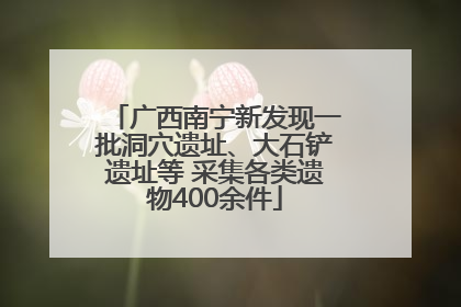 广西南宁新发现一批洞穴遗址、大石铲遗址等 采集各类遗物400余件