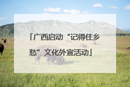 广西启动“记得住乡愁”文化外宣活动