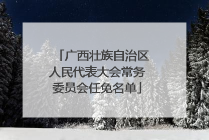 广西壮族自治区人民代表大会常务委员会任免名单