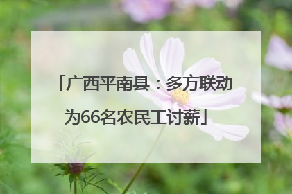 广西平南县：多方联动为66名农民工讨薪