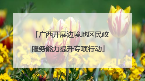广西开展边境地区民政服务能力提升专项行动