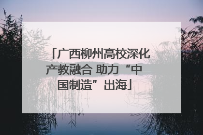 广西柳州高校深化产教融合 助力“中国制造”出海