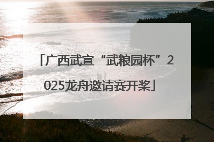 广西武宣“武粮园杯”2025龙舟邀请赛开桨
